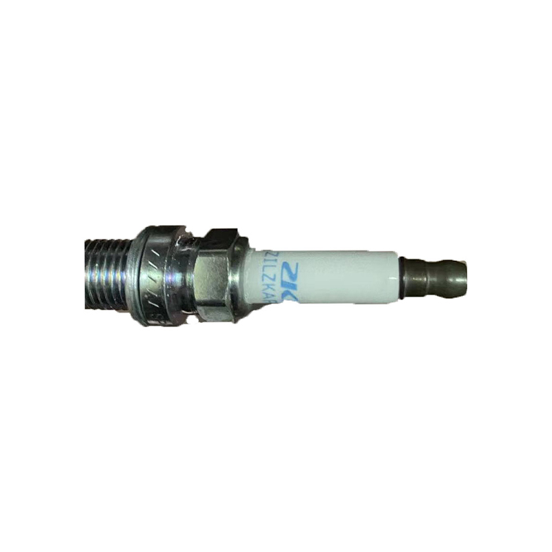 Busi 10162965 RW RX5 GS HS